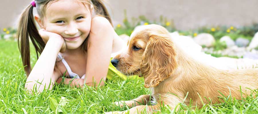 Tick Be-Gone | DentalSave Blog