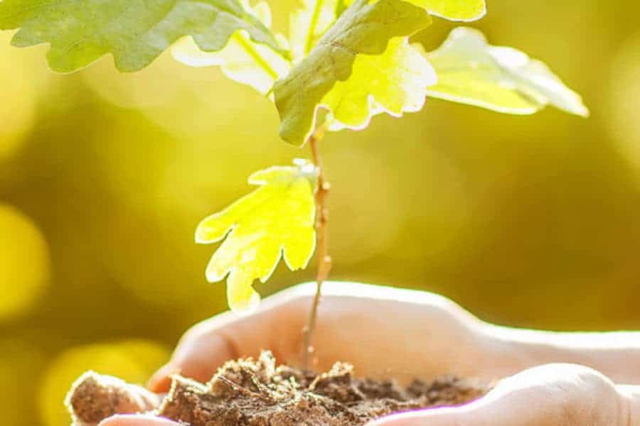 helping save the earth