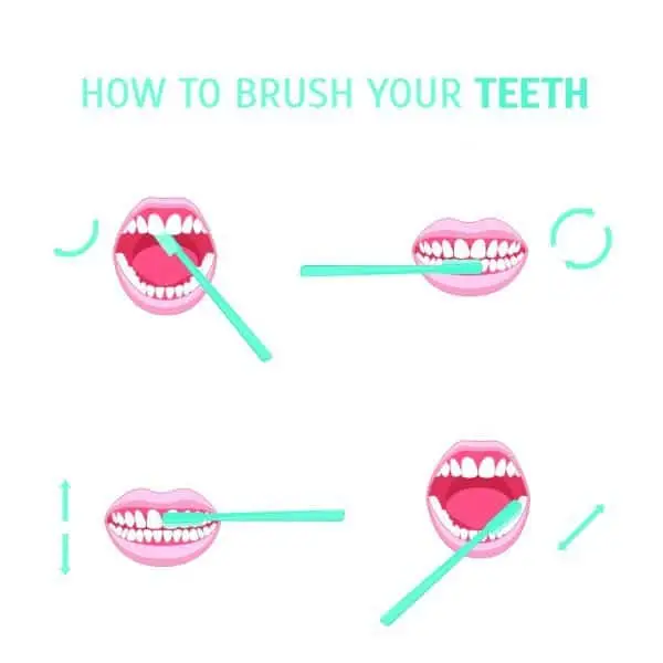 how to brush your teeth diagram