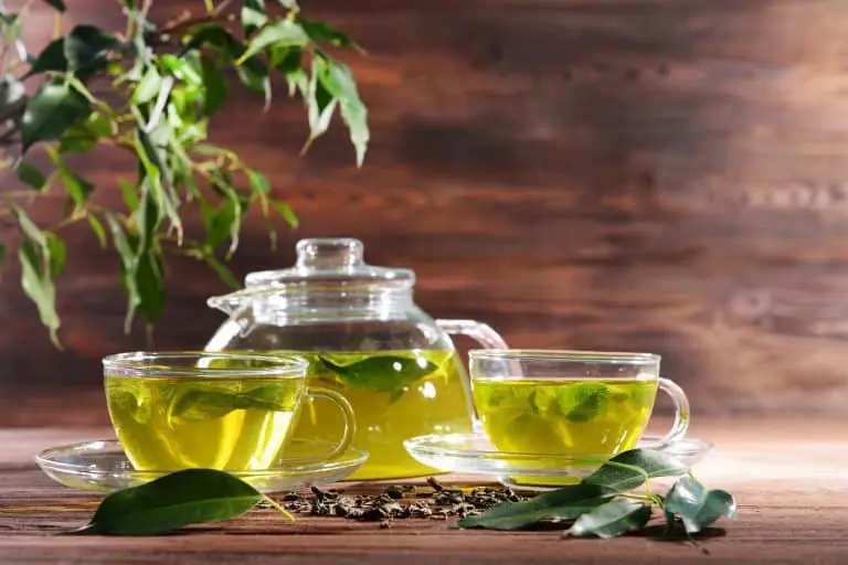 green tea oral health benefits